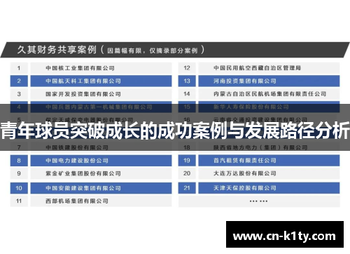 青年球员突破成长的成功案例与发展路径分析