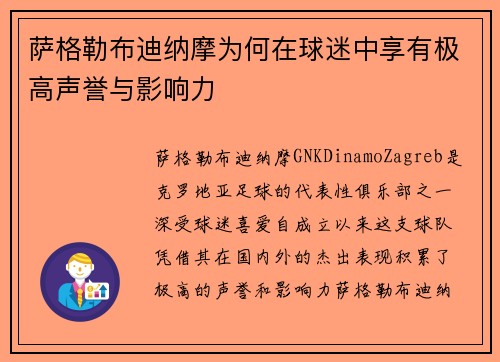 萨格勒布迪纳摩为何在球迷中享有极高声誉与影响力