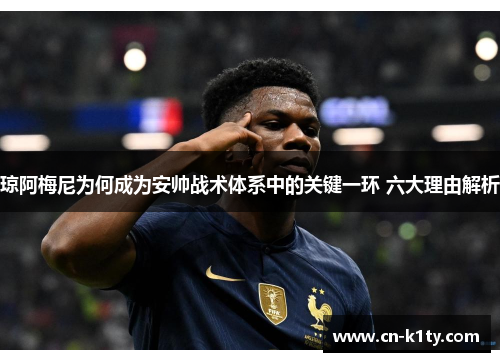 琼阿梅尼为何成为安帅战术体系中的关键一环 六大理由解析